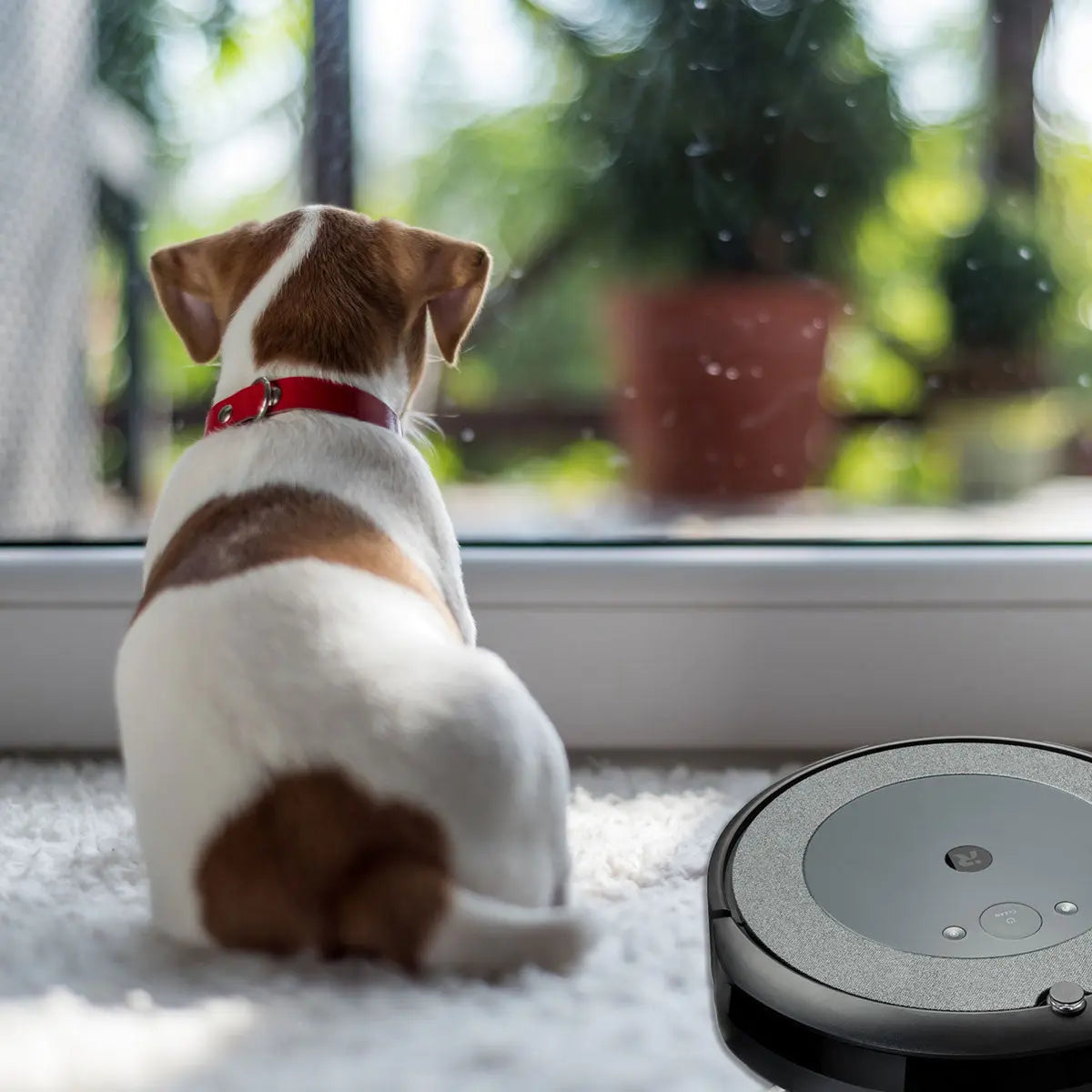 iRobot Roomba i4 - Thumbnail 4